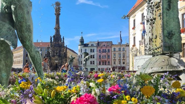 Proč milovat Olomouc?