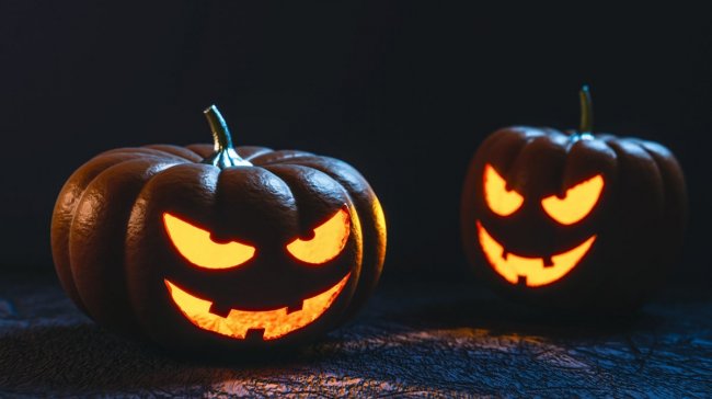 Halloween: dušičky, štíři a koktejly po procházce v ZOO – přinášíme tipy, díky kterým budete mít o tomto víkendu jasno!